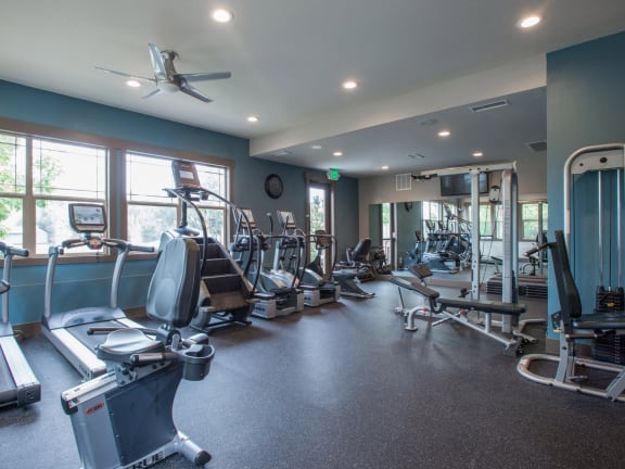 a gym with various cardio equipment and windows