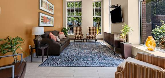 A living room with a couch, chair, and a rug.