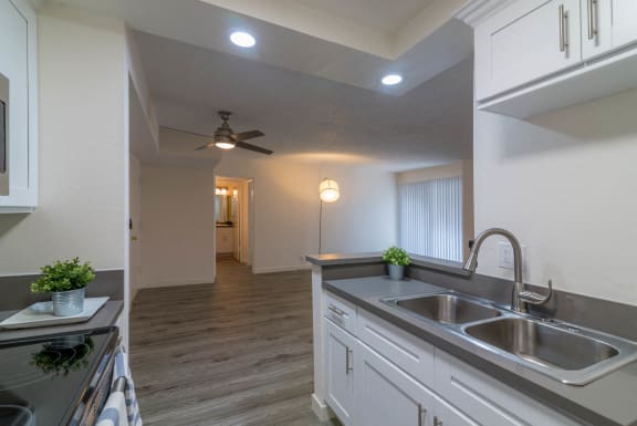 Kitchen and living room