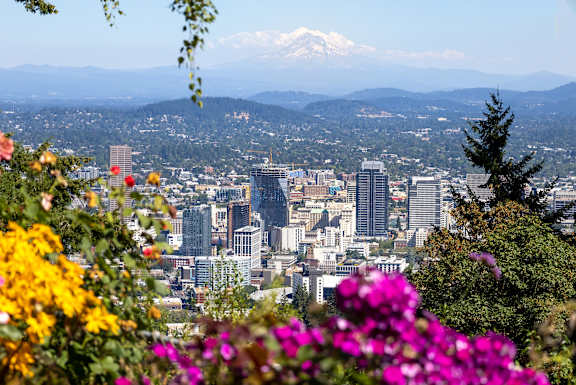 A cityscape with a mountain in the background and flowers in the foreground.