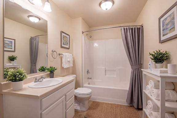 A bathroom with a toilet, sink, and shower.