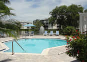 Thumbnail 2 of 6 - Pool at Bridgewater Apartments, St. Petersburg, Florida, 33716