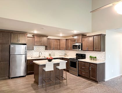 Pine Lane Estates Apartments in Lansing | Kitchen in apartment