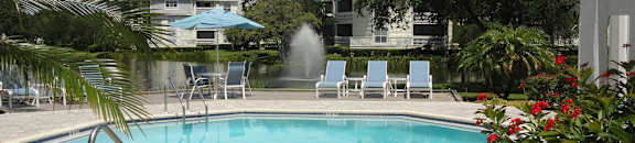 Pool at Bridgewater Apartments, St. Petersburg, Florida, 33716