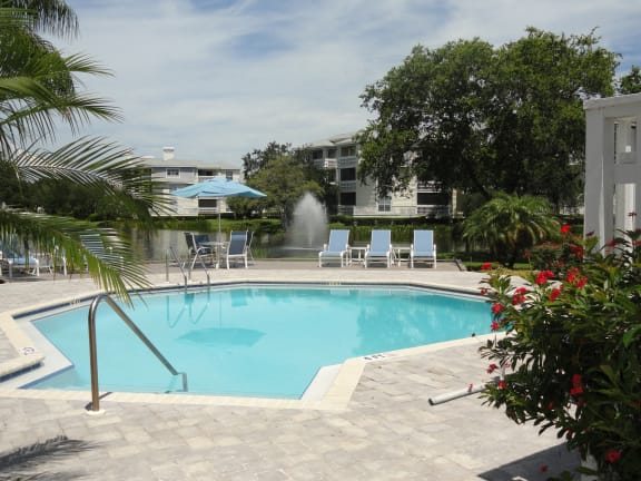 Pool at Bridgewater Apartments, St. Petersburg, Florida, 33716