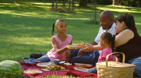 a family having a picnic in a park