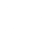 A black and white image of a tree.