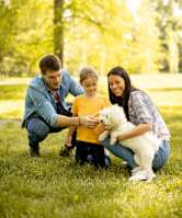 A family of three is playing with a white dog in a grassy field.