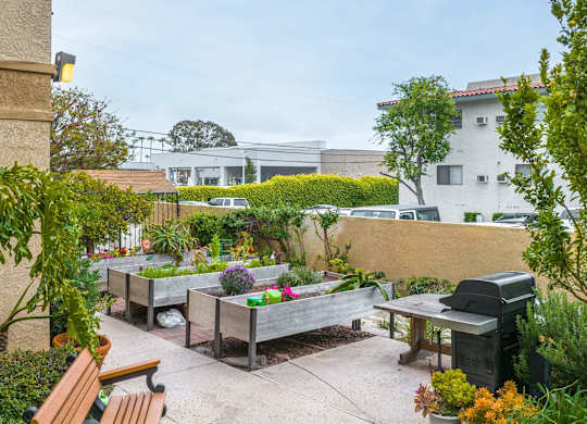 a backyard with benches and plants and a grill at Huntington Terrace North Senior, Huntington Beach, 92648