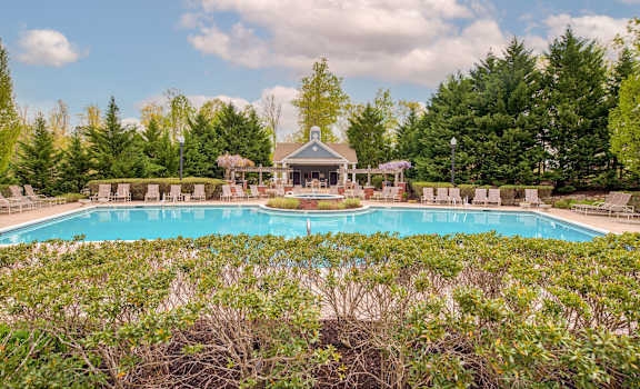 Bristol Village Apartments Pool 1