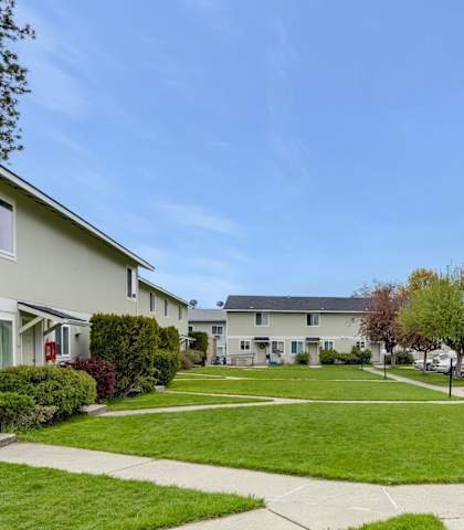 a neighborhood with houses and lawns on a sunny day