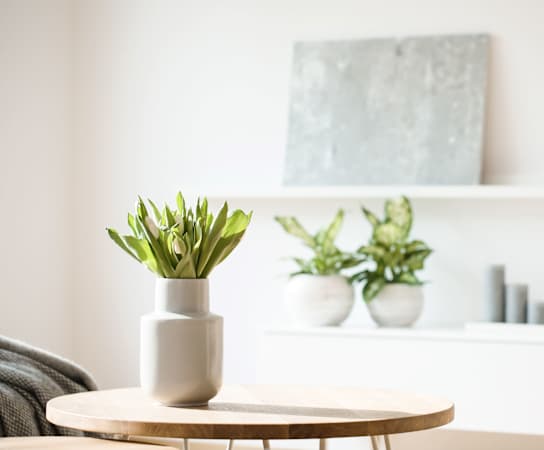 a living room with a vase of flowers on a coffee table at Stonelake at the Arboretum, Texas, 78759