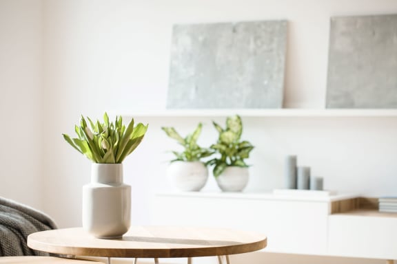 a living room with a vase of flowers on a coffee table at River Stone Ranch, Austin, TX, 78749