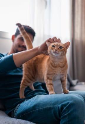 a man sitting on a couch with a cat on his lap at Channings Mark, Austin