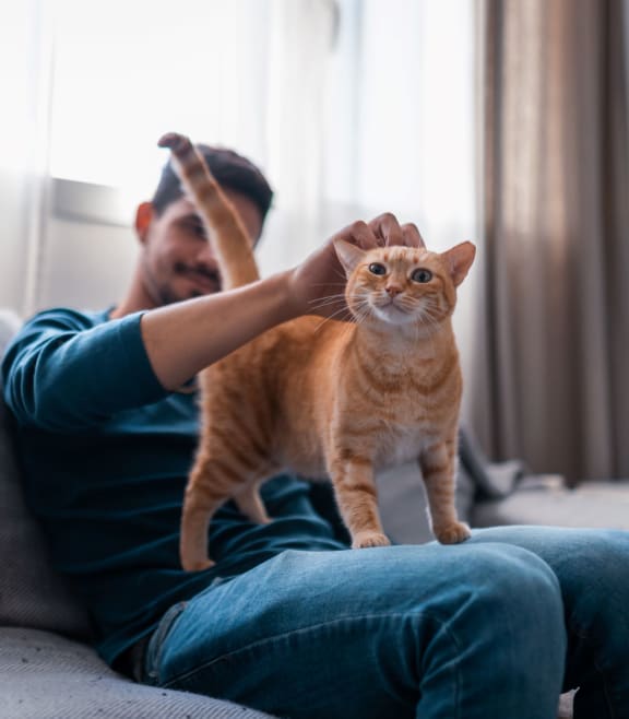 a man sitting on a couch with a cat on his lap at The Brittany, Indialantic, FL, 32903