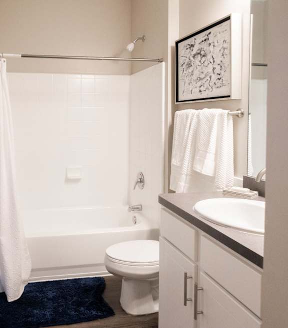 Bathroom with Shower Tub at One Rocky Ridge Apartment Homes in Douglasville, GA