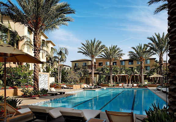 A pool surrounded by palm trees and lounge chairs at Circa 37 Apartments, San Diego, 92108