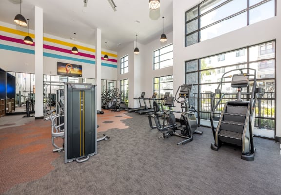 19 South Luxury Apartments Fitness Center