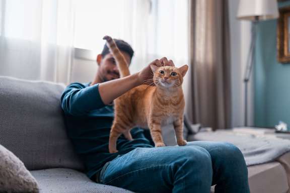 a man sitting on a couch with a cat on his lap at Element, Tampa, Florida