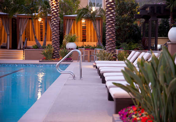 A poolside area with lounge chairs and a palm tree at Circa 37 Apartments, California, 92108