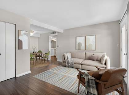 A living room with a couch, chair, and rug.