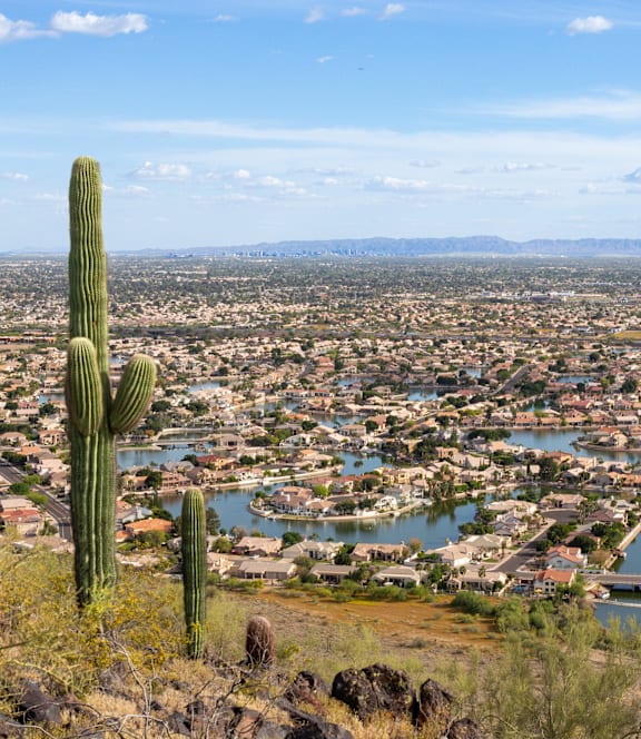 A cityscape with a large body of water and a cactus in the foreground.