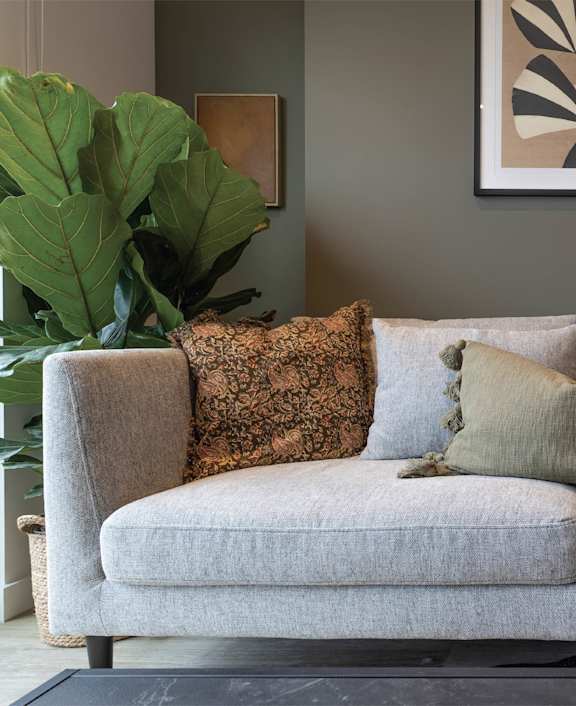 a couch with pillows and a plant in a living room