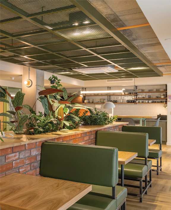 a wooden table with chairs and a plant on it