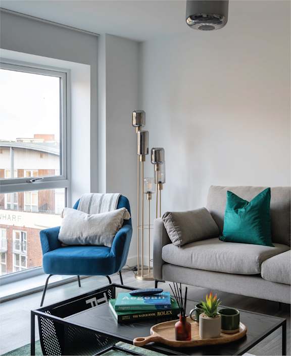 a couch with pillows and a plant in a living room