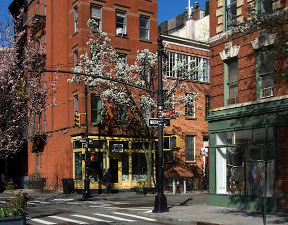 A street view of a city with buildings, trees, and a crosswalk.