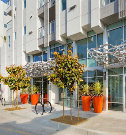 A modern building with a glass facade and orange planters in front.