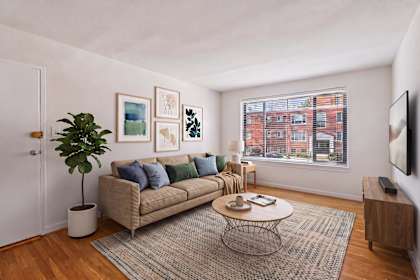 A living room with a couch, a plant, a coffee table, and a television.