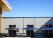 Thumbnail 15 of 27 - Rooftop BBQ Station at Latitude 47, Washington