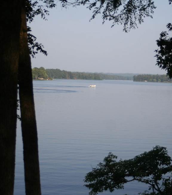 a boat on the lake in the distance between trees