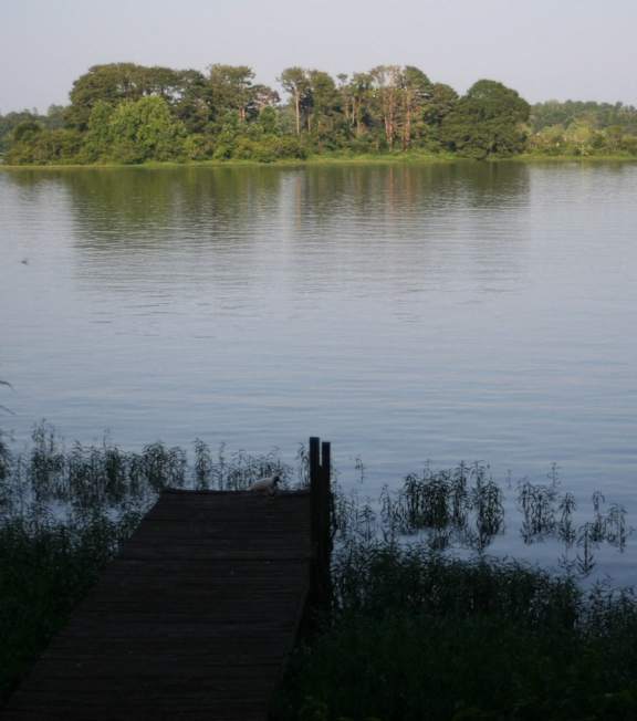 a dock on a lake with trees in the background