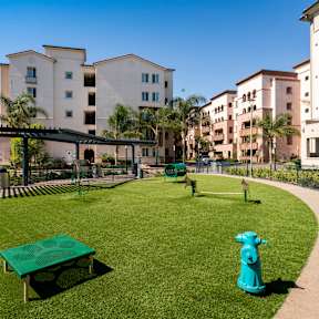 Paws Play Park at Casa Mira View Apartments, California, 92126