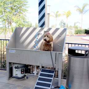 Pet Spa at Casa Mira View Apartments, San Diego