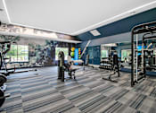 Thumbnail 6 of 6 - A gym with a variety of equipment including treadmills, weights, and exercise machines.