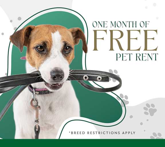 A cheerful dog is featured in an advertisement for one month free pet rent.