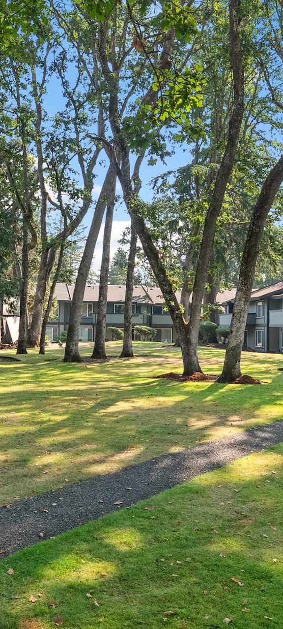 Lush Green Backyard at Timbre Apartments, Washington