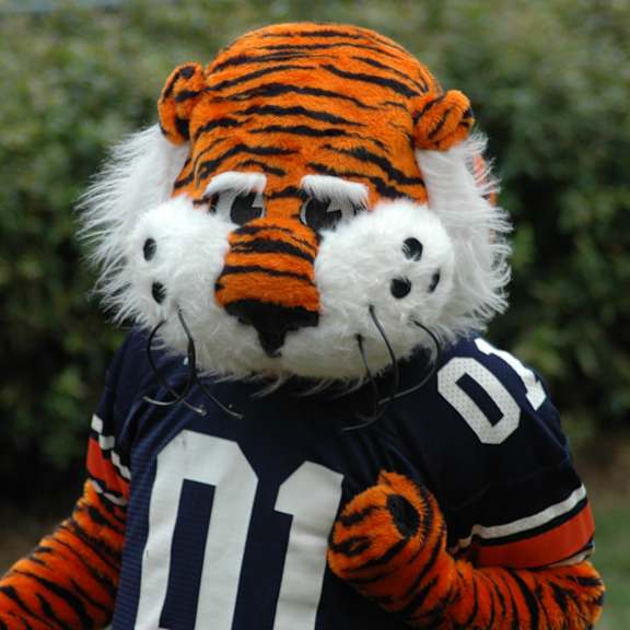 A tiger mascot wearing a football jersey with the number 01.