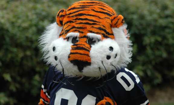 A tiger mascot wearing a football jersey with the number 01.