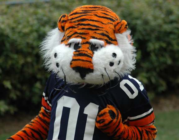 A tiger mascot wearing a football jersey with the number 01.