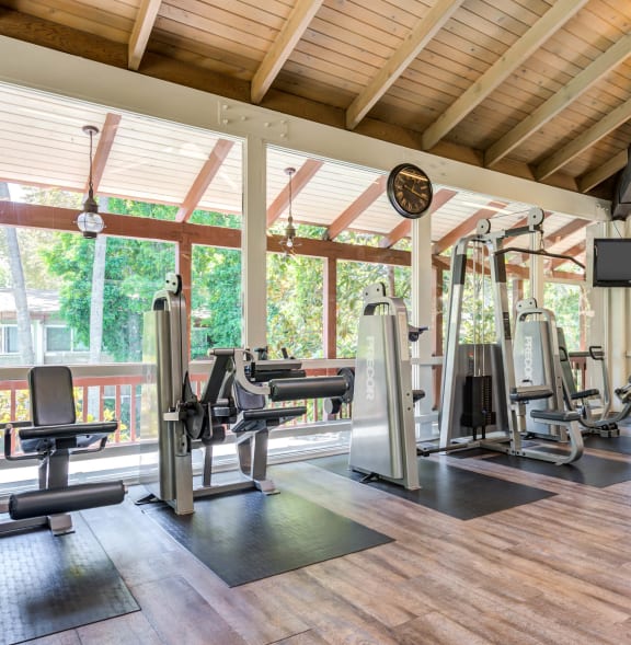 the gym has plenty of equipment and views of the trees  at Rancho Los Feliz, California