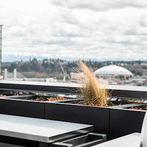 a view of the city from the rooftop terrace at Analog Tacoma, Tacoma, Washington