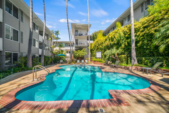 the swimming pool at or near acacia heights apartments at Sunset Barrington Gardens, Los Angeles, CA