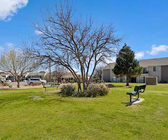 The green space at Acacia Park with benches surrounded by trees. 