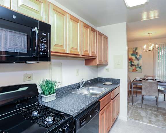 Photo Gallery Image