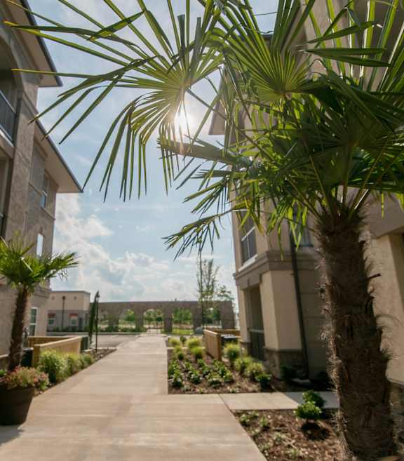 a walkway between two apartment buildings with palm trees at The Villa at River Pointe, Maumelle, AR
