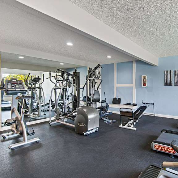 A gym with a variety of exercise equipment including treadmills, weights, and exercise machines.